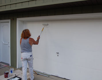 Exterior Specialist Paint Pro Action Photo